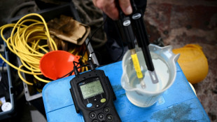 Unbekannte färben Wildbach in Oberbayern über hunderte Meter neongrün