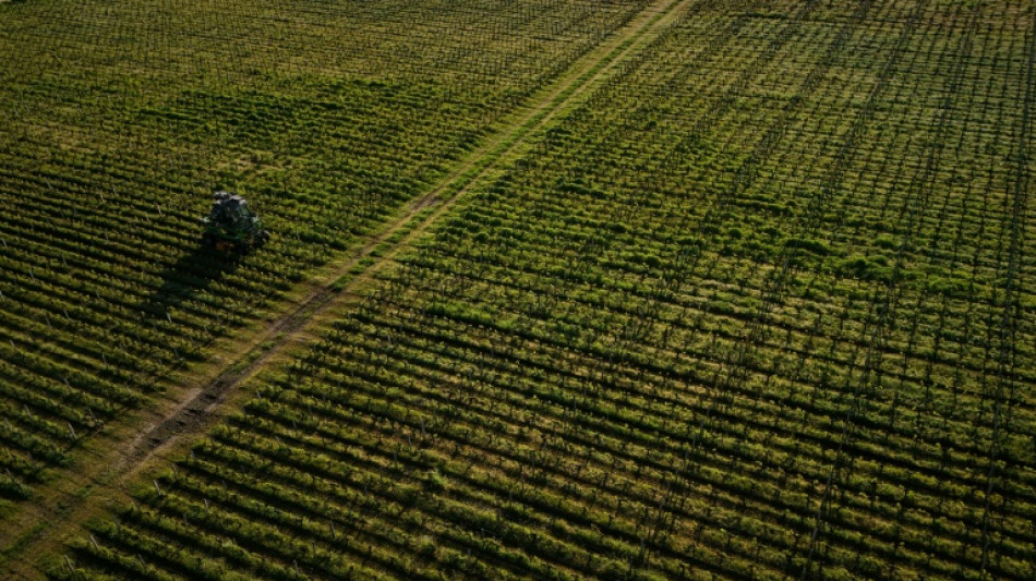 La surexposition aux pesticides des riverains des vignes d&eacute;montr&eacute;e par une vaste &eacute;tude 