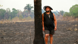 Avan&ccedil;o de Fl&aacute;vio Bolsonaro preocupa guardi&otilde;es da Amaz&ocirc;nia