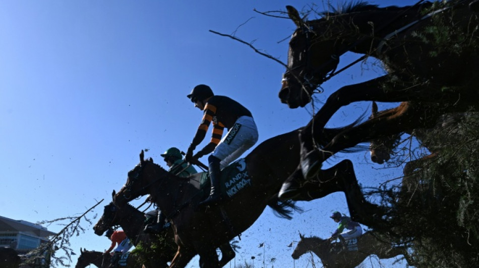 Reigning champion Nick Rockett out of Grand National