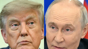 Petr&oacute;leo e elei&ccedil;&otilde;es, os motivos da aproxima&ccedil;&atilde;o de Trump com Putin