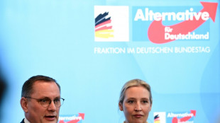 AfD-Chef Chrupalla bestätigt Gespräche mit BSW auch auf Bundesebene