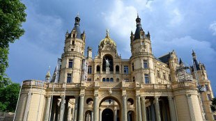 Mecklenburg-Vorpommern: AfD stellt Landesliste auf - Gr&uuml;ne und FDP ebenfalls