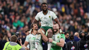 Tests d'automne de rugby: l'Afrique du Sud sans rival, l'Angleterre invaincue, l'Irlande pas guérie