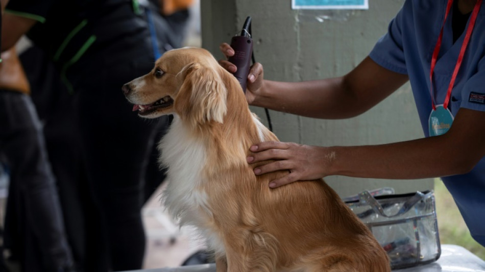 Gericht: Geb&uuml;hr f&uuml;r Berliner Hunderegister rechtm&auml;&szlig;ig