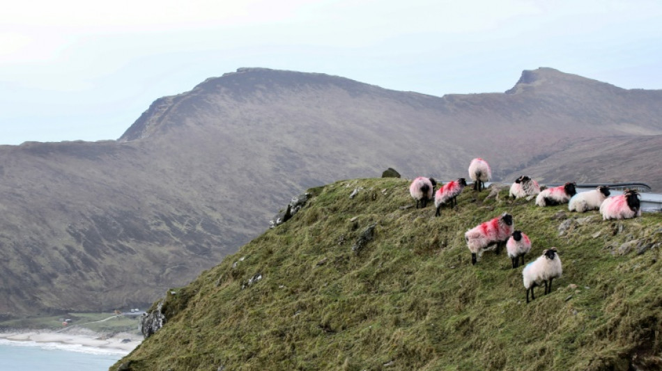 Remotas islas irlandesas disfrutan el atractivo tur&iacute;stico de los Oscar
