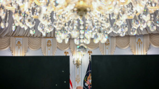 Dans un fief républicain du Tennessee, une victoire en demi-teinte pour le camp Trump