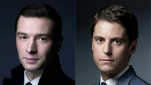 La vida sentimental como baza para la carrera presidencial en Francia