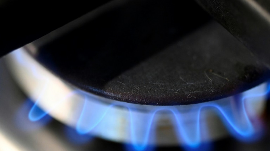 Gas-Kommission schl&auml;gt zweistufiges Verfahren gegen hohe Gaspreise vor