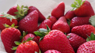 Bmti, &egrave; tempo di primizie, prezzi in calo per le fragole