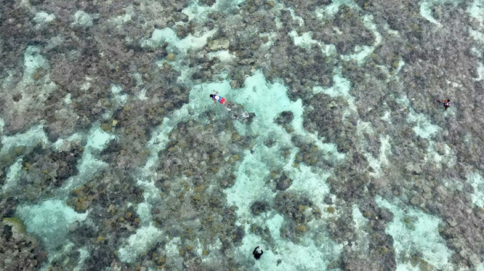 Australia touts new funds for Pacific infrastructure at Fiji 'pre-COP'