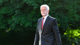 Tschechiens Präsident kritisiert Grenzkontrollen und fordert härtere Migrationspolitik