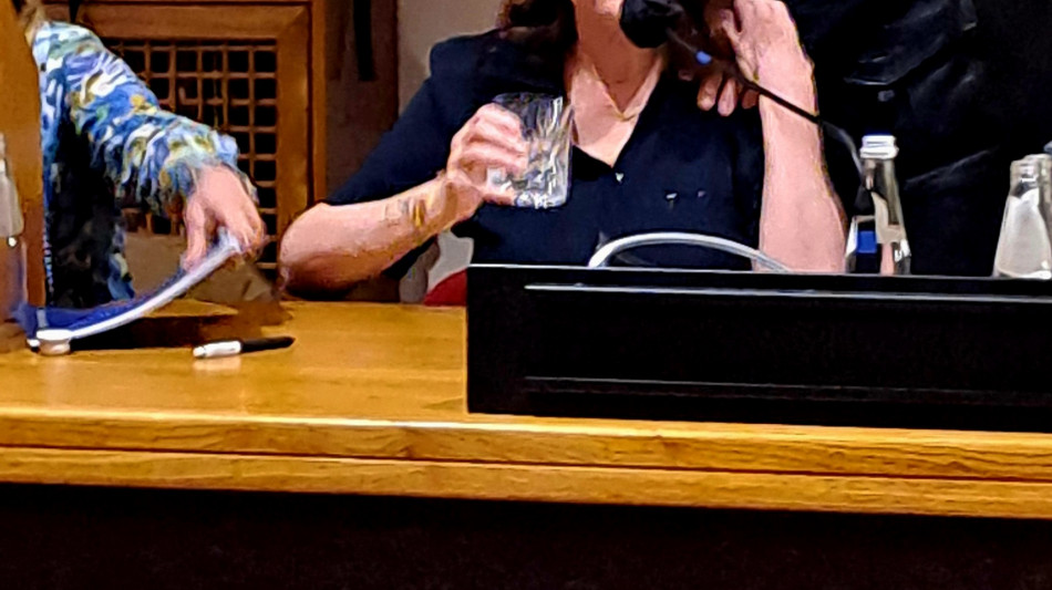 Susan Sarandon, 'c'&egrave; clima di intimidazione, non si pu&ograve; mollare'
