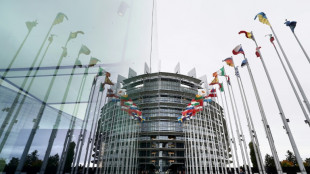 Pr&ecirc;mio Sakharov reconhece jornalistas presos em Belarus e na Ge&oacute;rgia