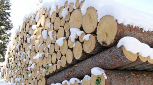 Aiel e Uncem, 'incentivi anche per le caldaie a legna e pellet'