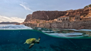 El mundo llega a la COP17 sobre biodiversidad con retrasos en sus metas