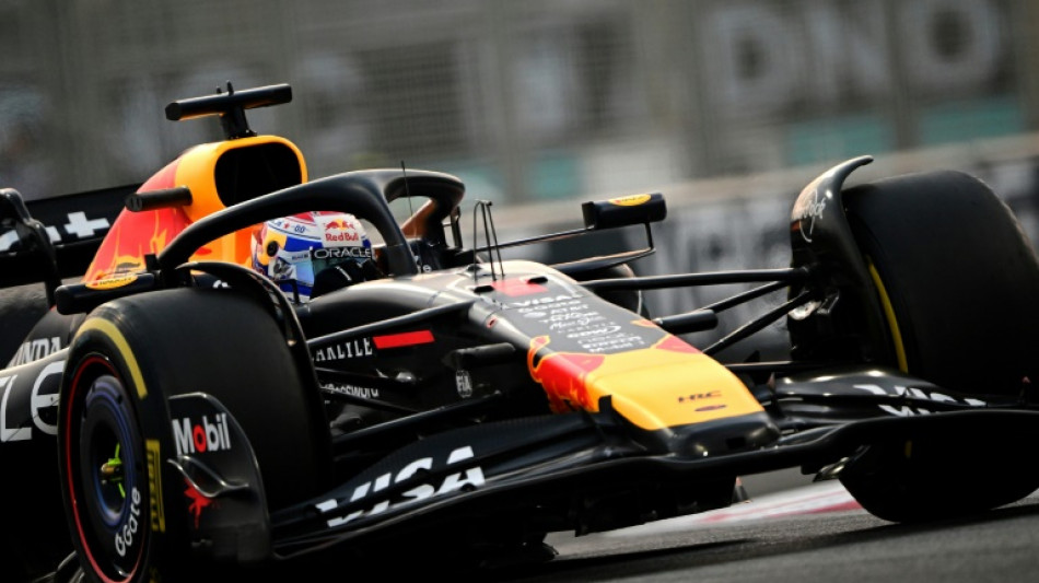 Verstappen outguns McLarens to take key pole in Abu Dhabi
