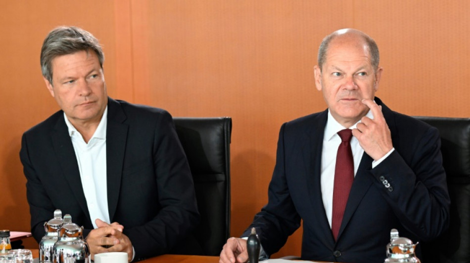 Alemania denuncia que la reducci&oacute;n del flujo de gas ruso es una "decisi&oacute;n pol&iacute;tica"