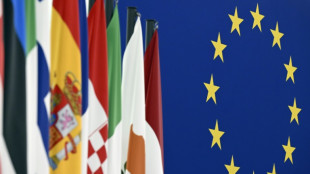 N&auml;chste Europawahl soll im Juni 2024 stattfinden