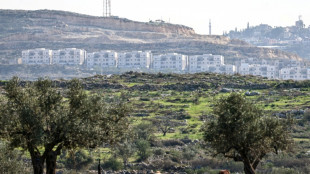 Israels Regierung genehmigt 19 neue Siedlungen im Westjordanland