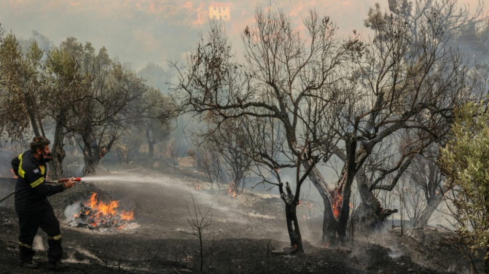 Schwere Waldbr&auml;nde in Griechenland und in der T&uuml;rkei - Mehrere Tote