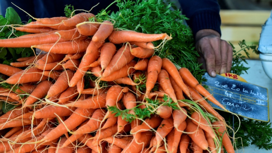 Mehr als 4,5 Millionen Tonnen: Gem&uuml;seernte in Deutschland auf Rekordhoch 