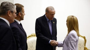 Incontro con Meloni e leader su prossimi step per Striscia