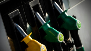 Pouvoir d'achat: les mesures pr&eacute;vues par le gouvernement