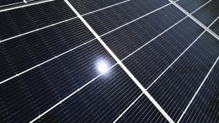 Edp fornir&agrave; energia rinnovabile ad Amazon in Giappone