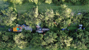 Productores rurales mantienen apoyo a Milei pero se impacientan por m&aacute;s reformas