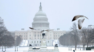 Heftiger Wintersturm sorgt in den USA f&uuml;r massive Stromausf&auml;lle und Einschr&auml;nkungen