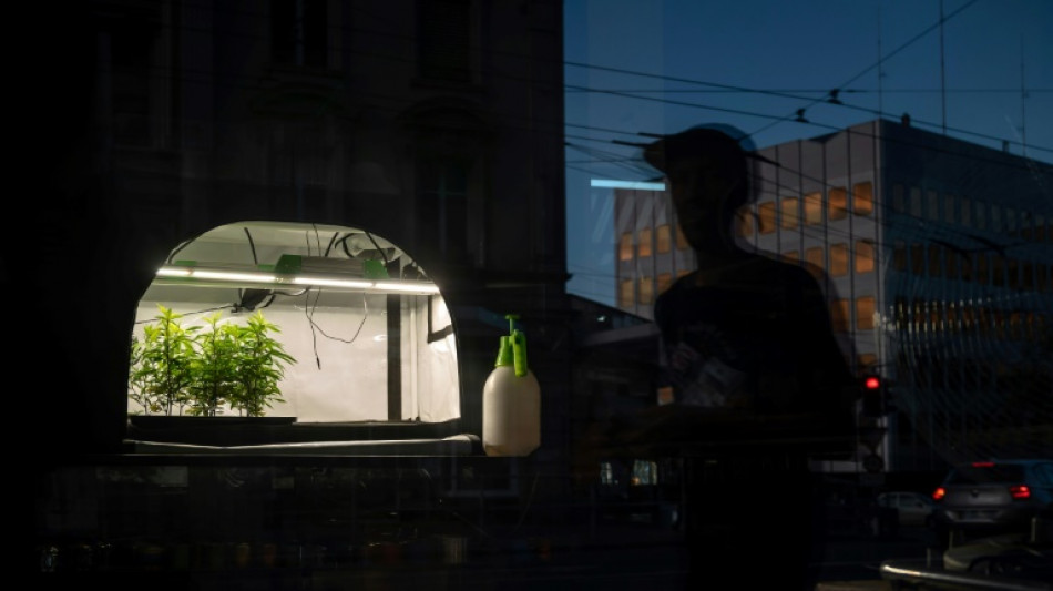 Bundesgerichtshof: Handel mit CBD-Bl&uuml;ten bei Missbrauchsm&ouml;glichkeit verboten