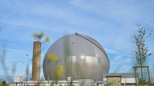 En conseil des ministres, un projet de loi pour acc&eacute;l&eacute;rer sur le nucl&eacute;aire