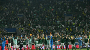 A ressurrei&ccedil;&atilde;o do Palmeiras, um gigante da Libertadores