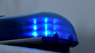 Auto f&auml;hrt bei Wesel in den Rhein - zwei Insassen gerettet