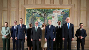 Großbritannien und nordeuropäische Länder fordern bedingungslose Waffenruhe in Ukraine