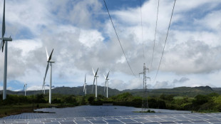 Moratorium für Wind und Solar: Frankreichs Regierung will an Erneuerbaren festhalten