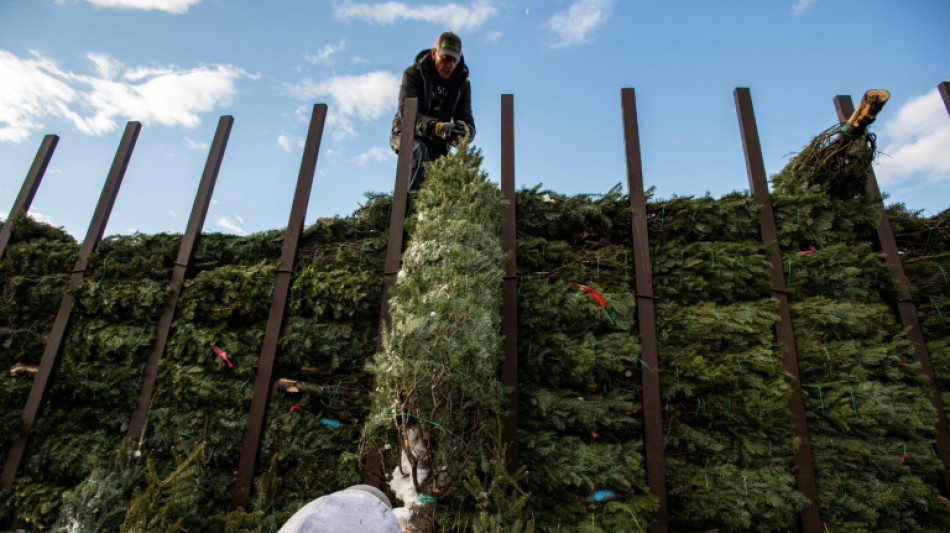 Verloren gegangener Weihnachtsbaum sorgt in Baden-W&uuml;rttemberg f&uuml;r Unf&auml;lle