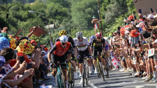 Cyclisme: l'&eacute;quipe Ark&eacute;a-B&B Hotels vers la disparition, faute de repreneurs