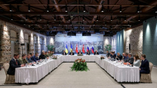 Kiew: Russland stellt bei Istanbul-Gesprächen "inakzeptable Forderungen"  