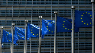 Europ&auml;ischer Gerichtshof urteilt zu Aussetzung von Abschiebungen wegen Pandemie