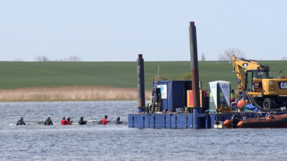 Transport in Richtung Nordsee: Frachtkahn mit Buckelwal verl&auml;sst Wismarer Bucht