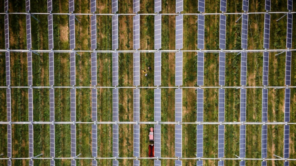 Vinicultura conectada para hacer frente a la amenaza clim&aacute;tica