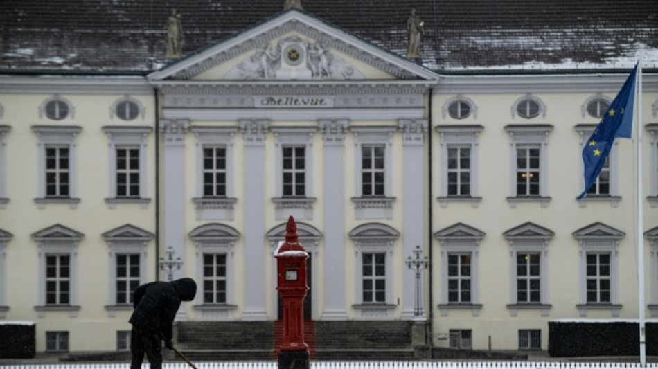 SPD und Gr&uuml;ne offen f&uuml;r Nicht-Politiker im Schloss Bellevue