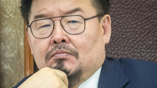 Mongolian PM out after four months in office