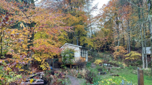 Suecia apuesta por el silencio de sus bosques como antídoto al ruido del mundo