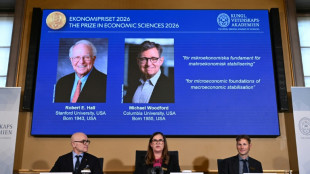 Wirtschaftsnobelpreis geht an US-&Ouml;konomen Michael Woodford und Robert Hall