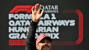 Hamilton revels in ending long pole drought