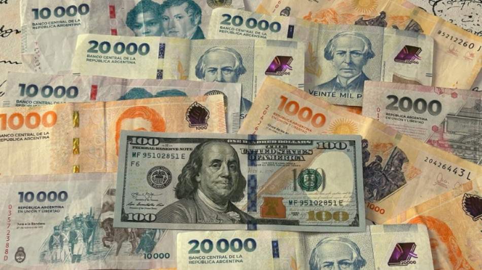 Argentina's central bank intervenes to halt run on peso 