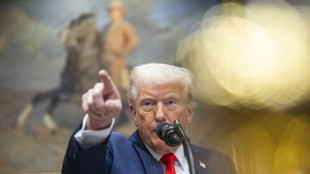 Ce sera "grand": Trump, l'hyper-pr&eacute;sident face au Congr&egrave;s